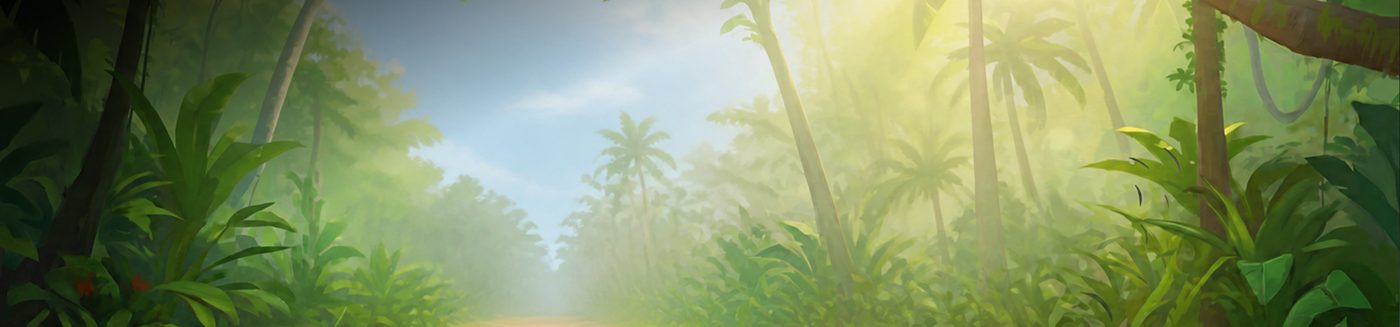 Boomerang bonus